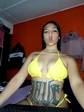 Check-out your craziest wishes with our pick of gaming cams models, featuring big knockers, round tails and tight twats.