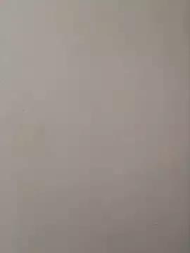 CandyCol from StripChat is Freechat