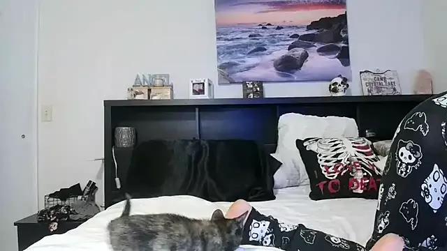CrystalLakeXO from StripChat is Freechat
