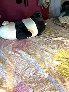 Fresi_blonde from StripChat is Freechat