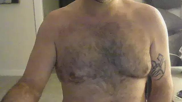 Harrychest webcams show profile image 
