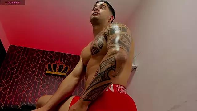 king_falconer from StripChat is Freechat