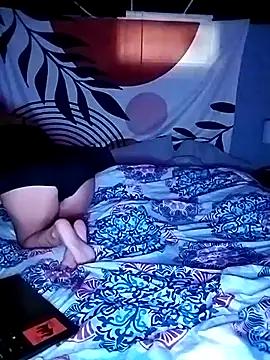 LadyyyCattt from StripChat is Freechat