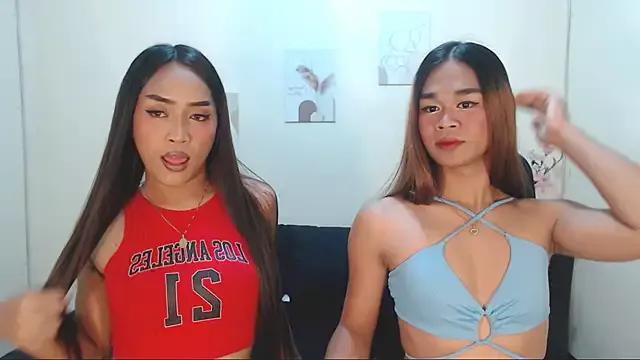 Check-out your craziest wishes with our pick of gaming cams models, featuring big knockers, round tails and tight twats.