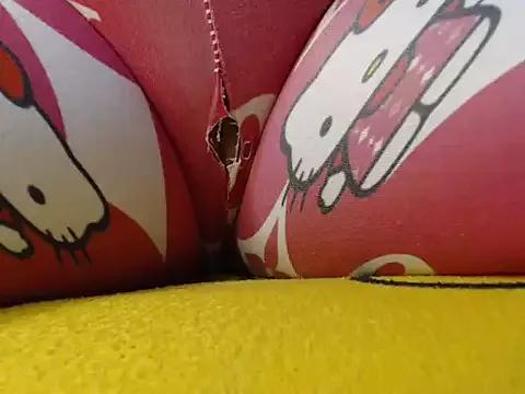 Check-out your craziest wishes with our pick of gaming cams models, featuring big knockers, round tails and tight twats.