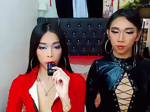 Check-out your craziest wishes with our pick of gaming cams models, featuring big knockers, round tails and tight twats.