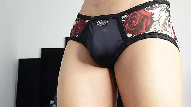 Check-out your craziest wishes with our pick of gaming cams models, featuring big knockers, round tails and tight twats.