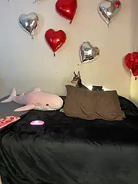 Check-out your craziest wishes with our pick of gaming cams models, featuring big knockers, round tails and tight twats.