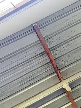 Megan2026 from StripChat is Freechat