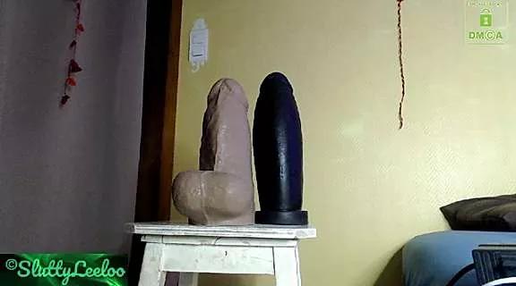 Check-out your craziest wishes with our pick of gaming cams models, featuring big knockers, round tails and tight twats.