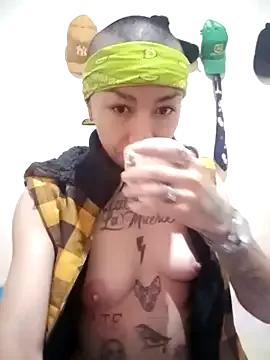 real_fenix from StripChat is Freechat