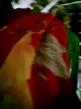 Tamilauntyhot from StripChat is Freechat