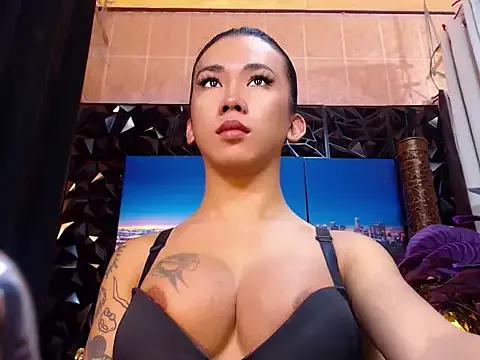 TRANSPORNIDOL from StripChat is Freechat